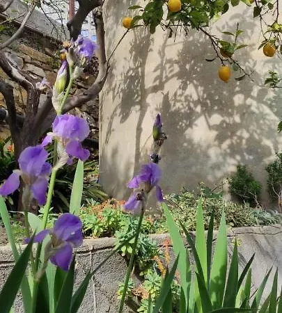 La Casetta In Collina *