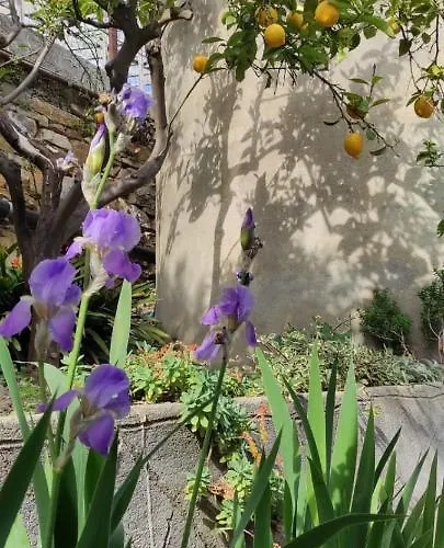 La Casetta In Collina *